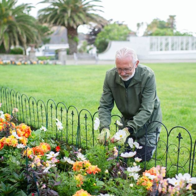  Is It OK to Take Plant Cuttings From Public Parks and Gardens? A Lawyer Explains so You Won’t End Up in Trouble 