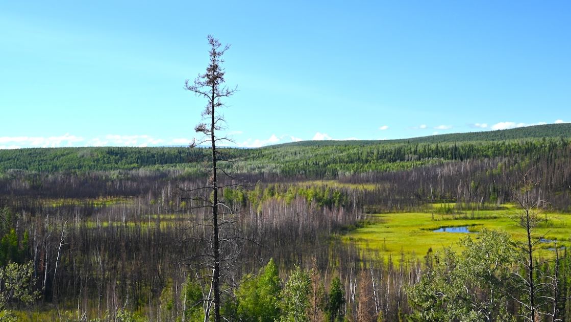  Archaeologists discover the oldest dwelling in the Western Hemisphere at a 13,800-year-old site in Alaska 