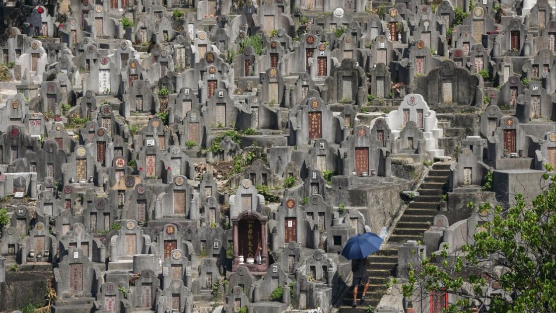 Flowers, roast pork and paper ingots: families keep Chung Yeung traditions alive
