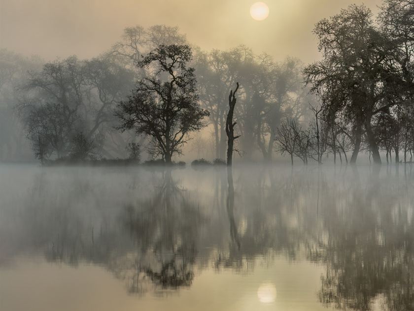 What’s in DianeMiller’s bag: From biochemist to night-sky explorer