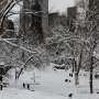 Northern hemisphere snow cover is shrinking—new analysis tracks how fast