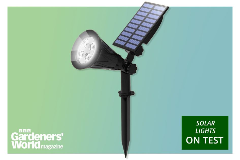 The best solar lights in 2026, as tested by our reviews experts