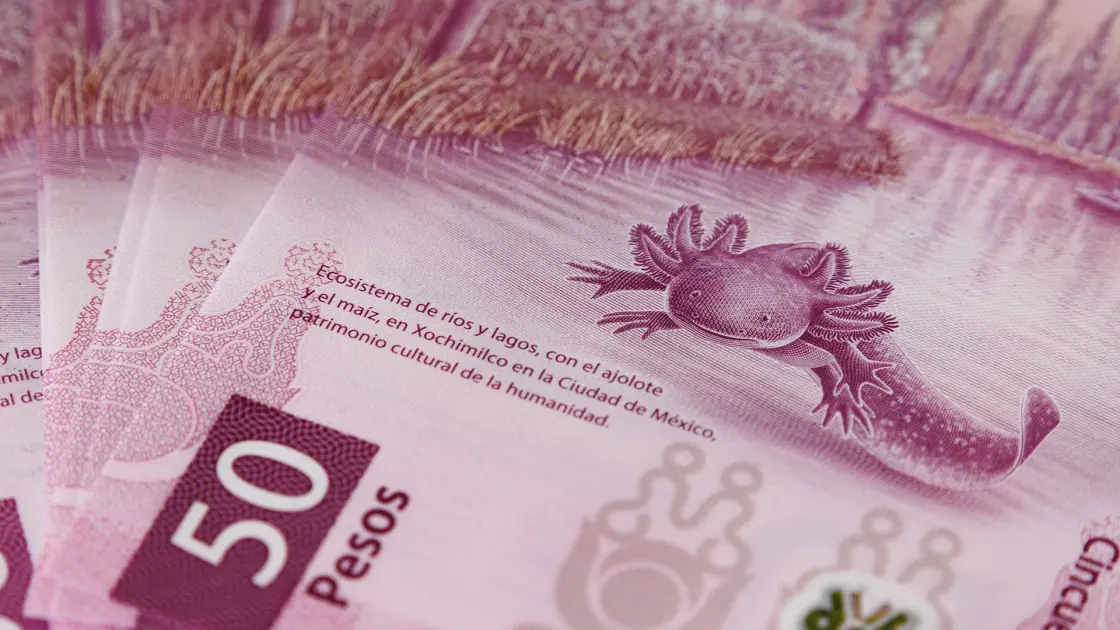 Mexicans Are Refusing to Spend This $50 Peso Bill
