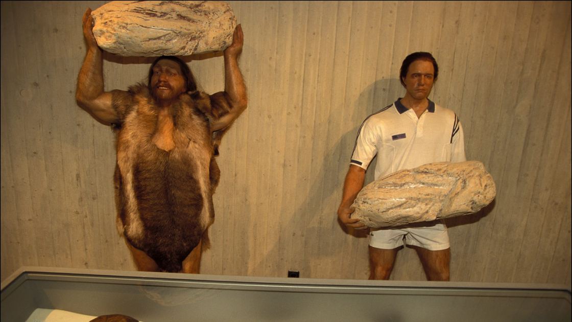  Neanderthals passed on a gene that helps modern humans pack on more muscle — but only a few people have it 