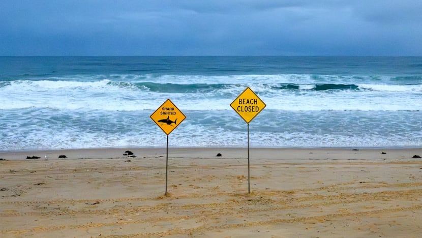 Shark kills diver off Western Australia