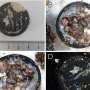 Cast away: Tracing the voyage of a plastic bottle cap and its hitchhiking marine species