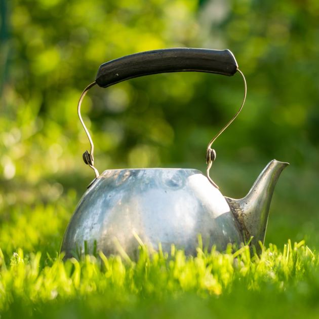  Boiling Water Can Be a Brilliant Weed Killer, But Most Gardeners Use It Wrong – Avoid These 3 Backyard Areas 