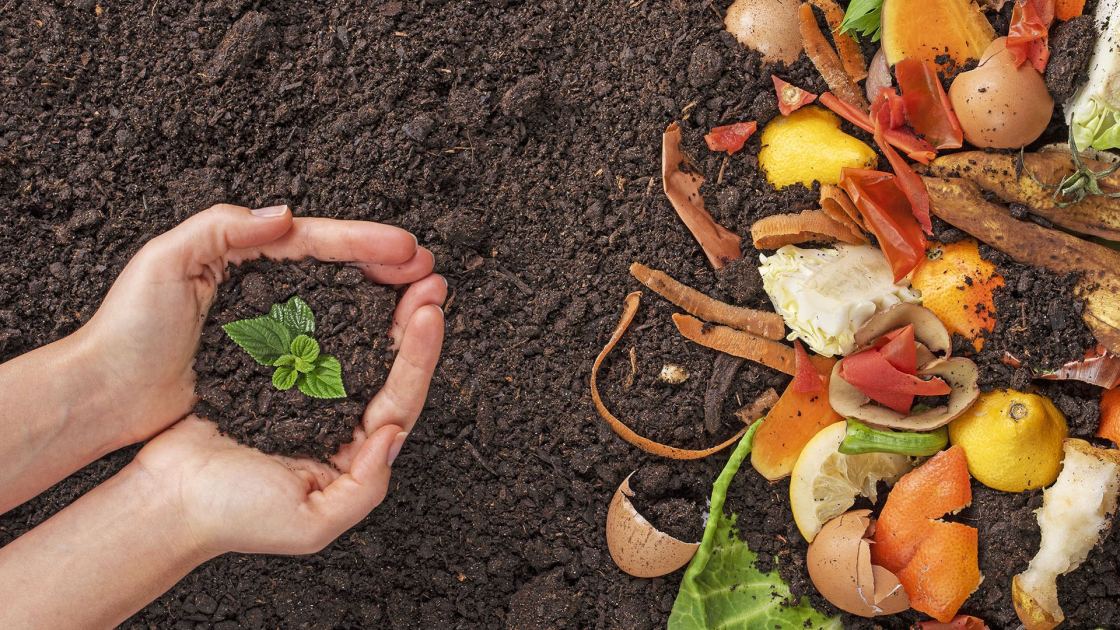  My 6-Ingredient Fall Soil Recipe Turns Kitchen Scraps Into Garden Gold – No Compost Bin Required 