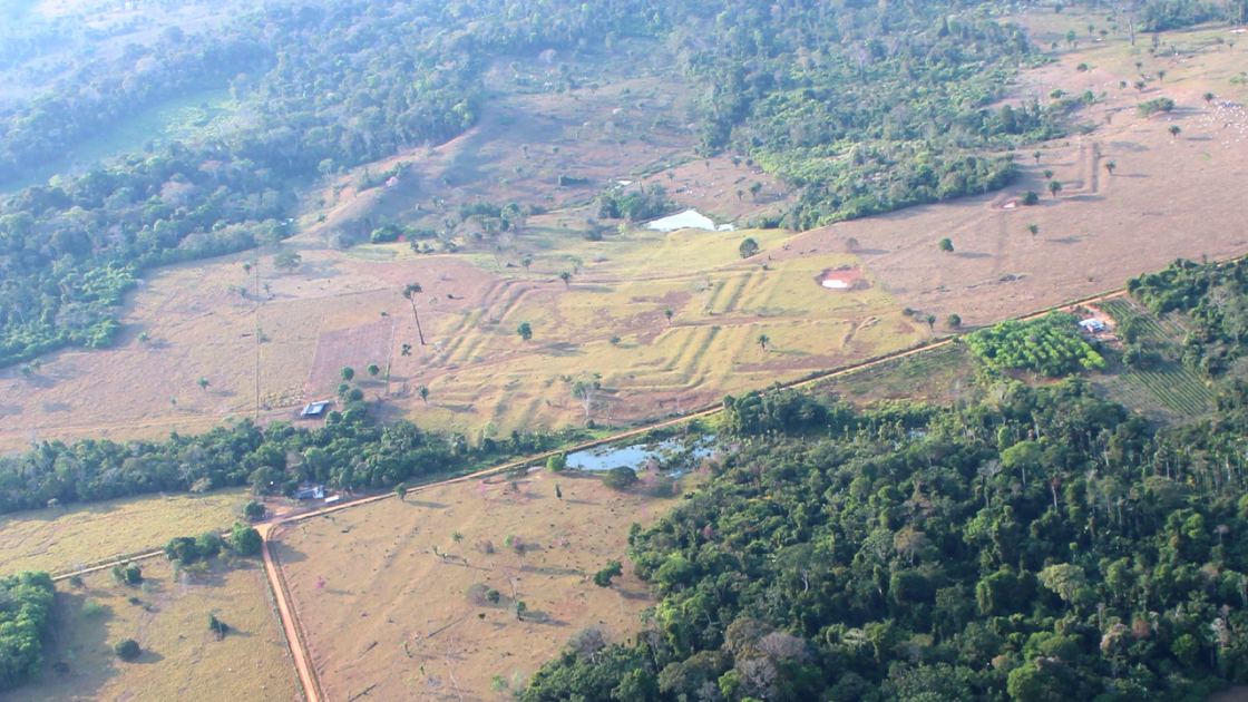  Lasers reveal hundreds of geoglyphs made by a mysterious civilization in the Amazon rainforest thousands of years ago 