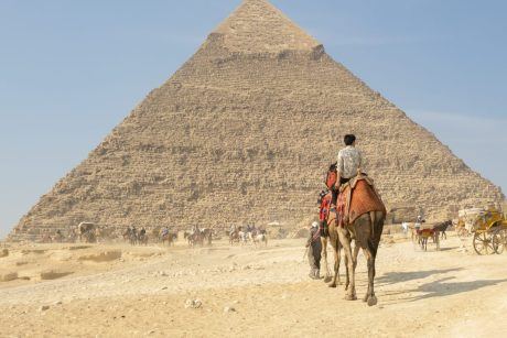 The Dark Truth Behind Animal Rides at Egypt’s Pyramids