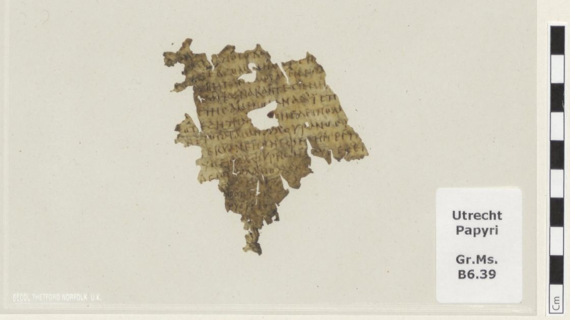  1,700-year-old fragment of the 'Odyssey' discovered between pages of Dutch library book 
