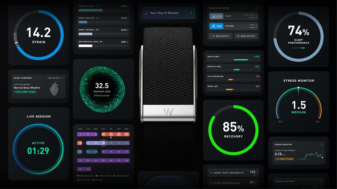 The Health-Tracking Whoop App Will Now Connect You to On-Demand Doctors. Plus, New AI Features