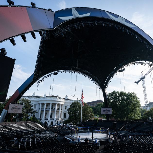 Merger Cleared, David Ellison to Join Trump at U.F.C. Bout