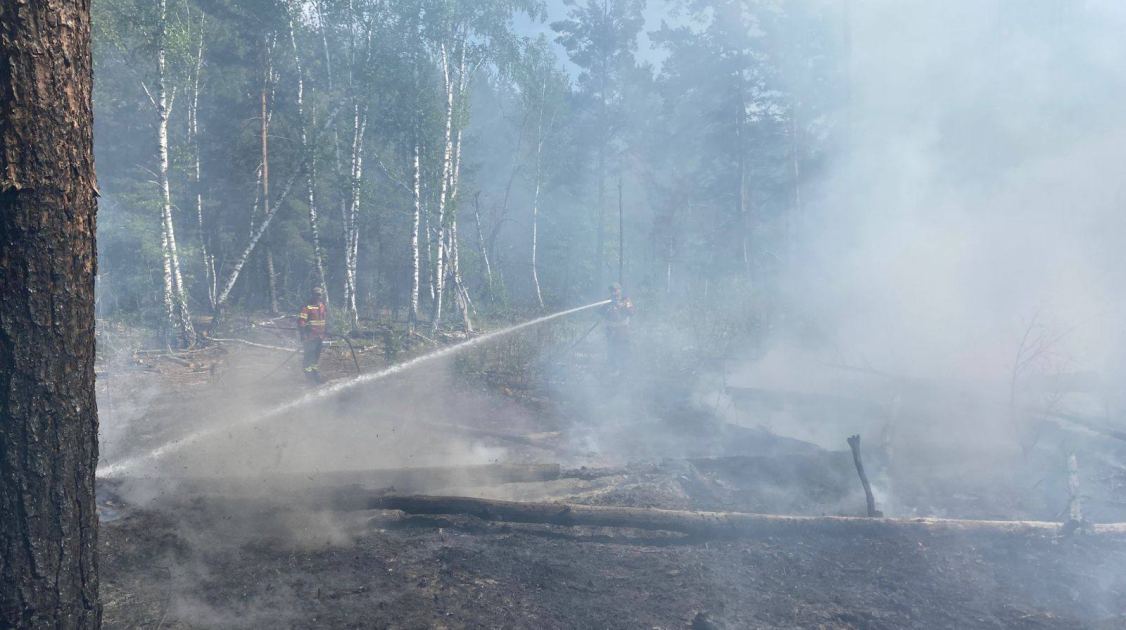 Російські дрони знову підпалили Чорнобильську зону відчуження