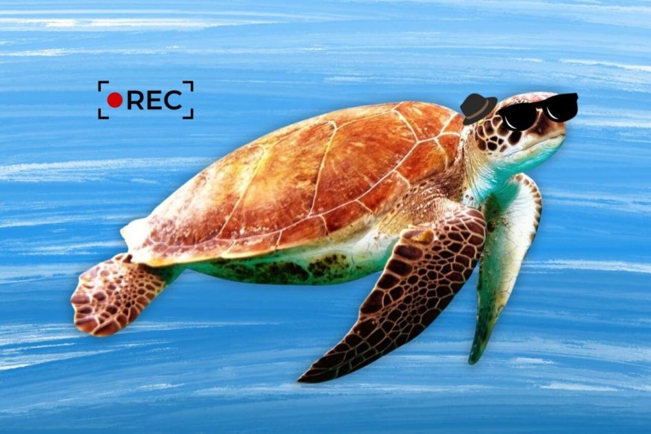 China’s Ministry of State Security Accuses ‘Spy Turtles and Spy Fish’ of Stealing Sensitive Marine Data