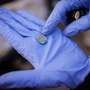 Archaeological 'breakthrough' could confirm origins of Paris