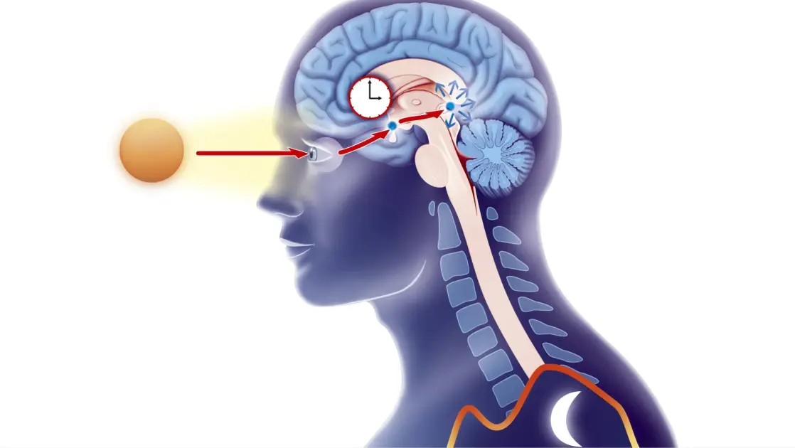 New Research Reveals a Surprising Link Between ADHD and Sleep