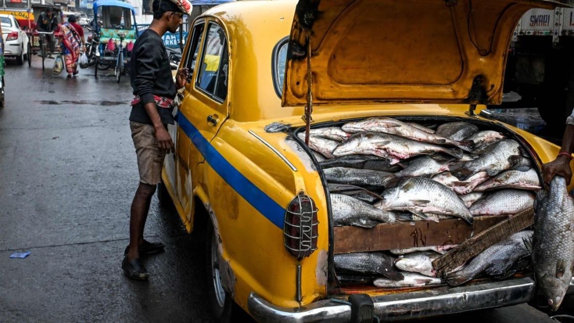 Fish and vegetarianism major flashpoints in India’s West Bengal election