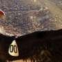 Who should have a say in which species are saved? The California condor offers lessons for a global biodiversity treaty
