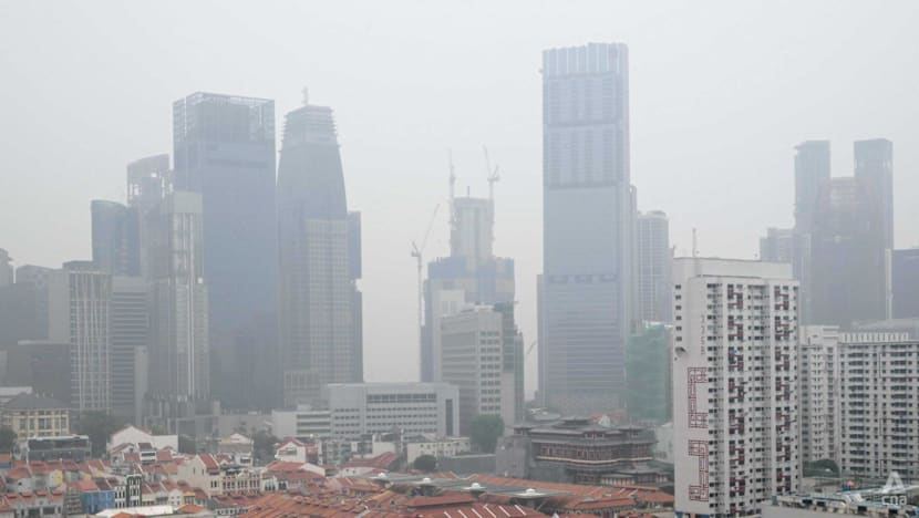 Three Singapore-registered companies say they will comply with NEA's haze notices