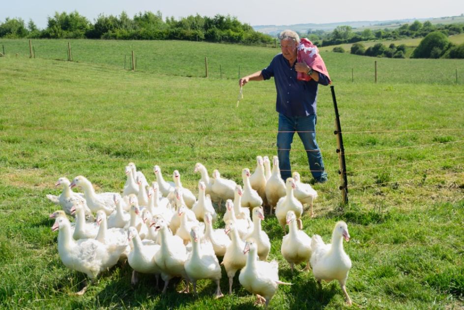 Jeremy Clarkson Is Already Thinking About What Comes After ‘Clarkson’s Farm’: ‘It Has To Be Unbelievably Ambitious’