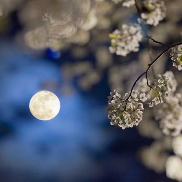  What's Your Birth Month Moon? The Special Meaning Behind Every Full Moon Name 