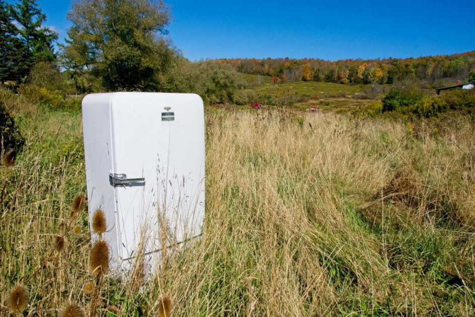 Why do particle physicists like spending time in fields?