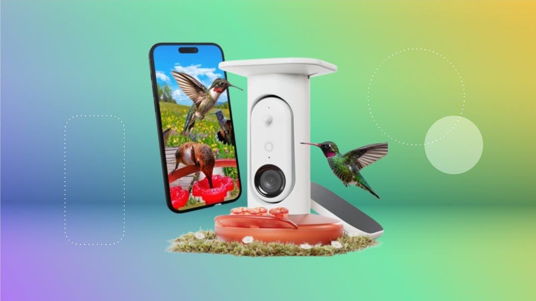 Get Up Close and Personal With Hummingbirds With the Birdbuddy, Now $110 Off