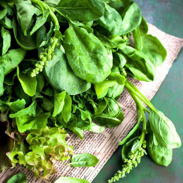  These Fast-Growing Salad Crops fill August Hunger Gaps with Tasty Harvests Through to Fall Frosts 