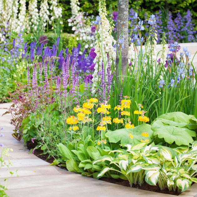  Experts Say All Garden Pests Hate This Kitchen Spice – How to Use It and What It Can (and Can't) Do for Your Garden 