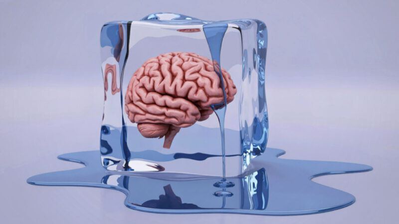 Fight, Flight, Or Freeze? Why Overwhelmed Learners Shut Down