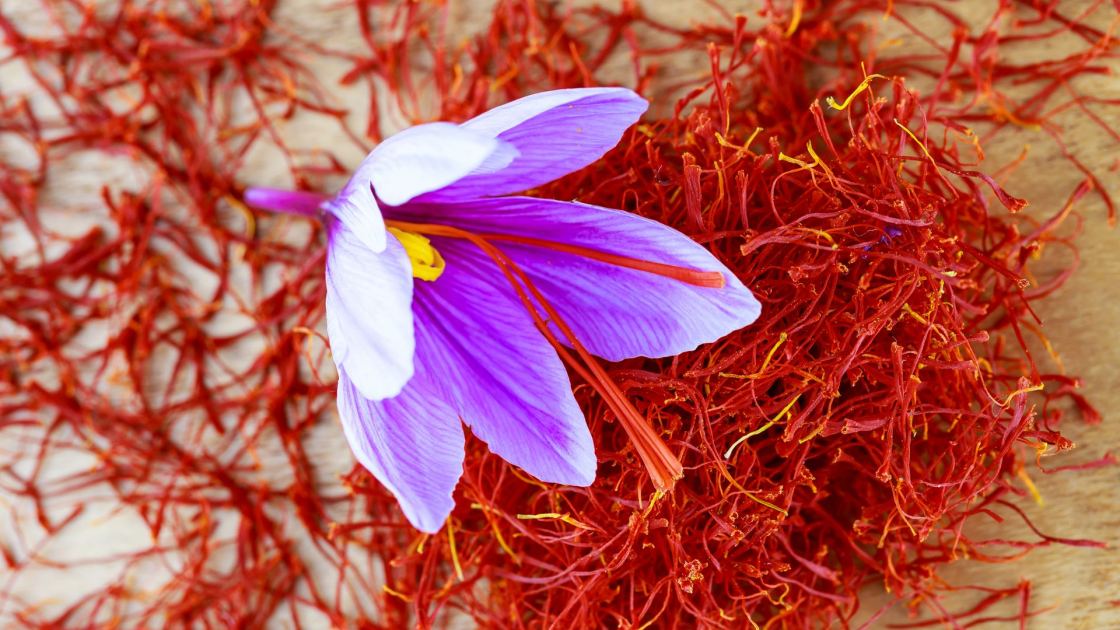  Saffron is the World's Most Expensive Spice Yet it's So Easy to Grow a Flavorful Garden Harvest 