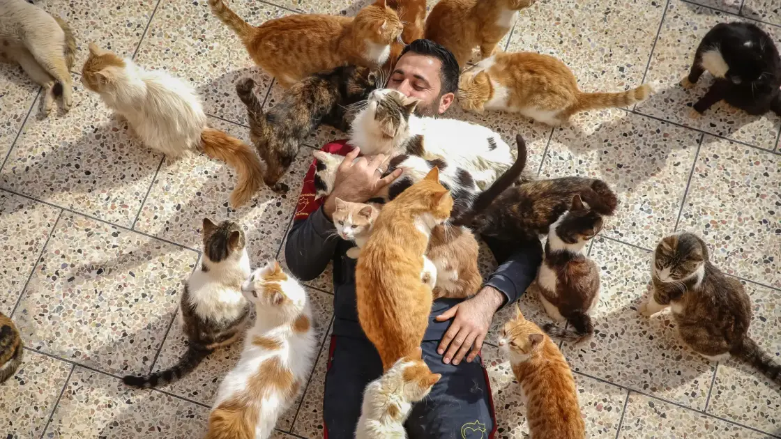2 Surprising Links Between Cats and Humans—But Only 1 Is Good News