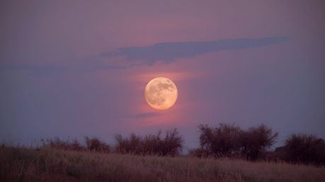 April’s Pink Moon Is Not Pink and That Is Exactly What Makes It Beautiful