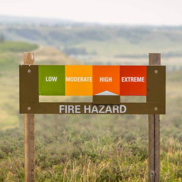  5 Plants to Avoid If You Live in a Wildfire-Prone Area – and What to Plant Instead 
