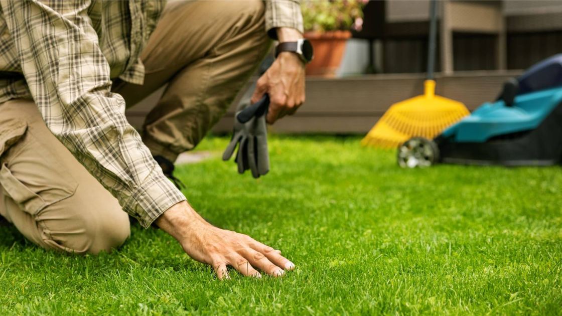  Is Your Grass Seed Taking Too Long to Sprout? Here Are 3 Ways to Speed Things Up 