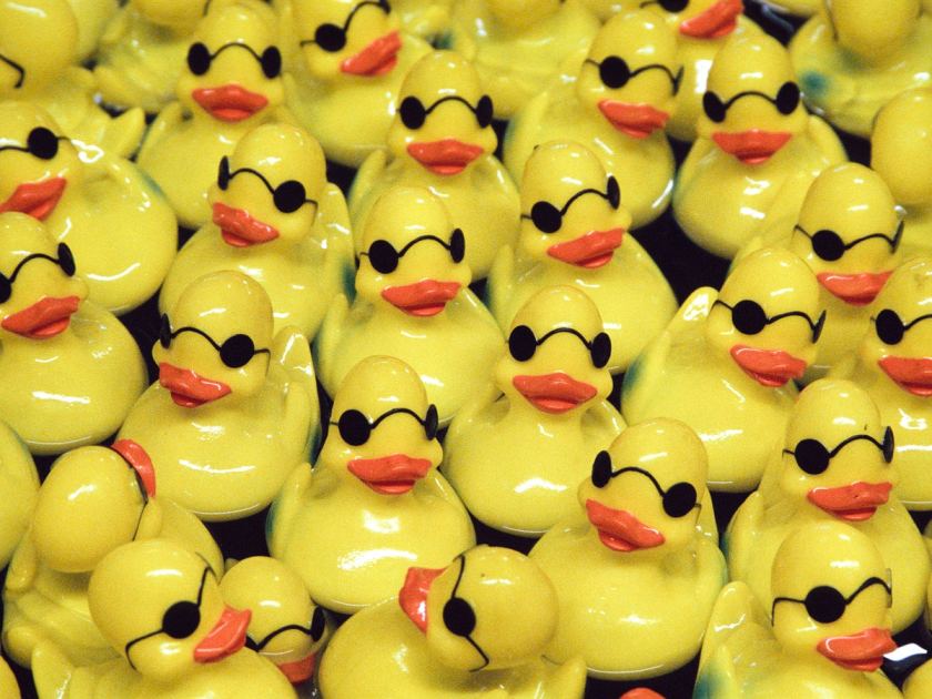 Analog April: The challenge your film camera has been waiting for