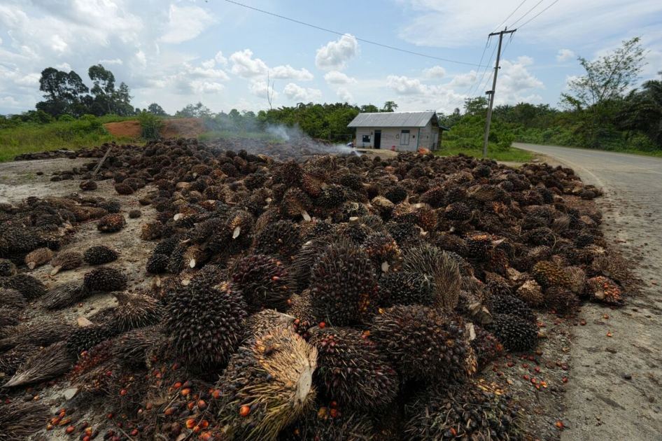 Indonesia Advances Export Control Plan Despite Uncertainty