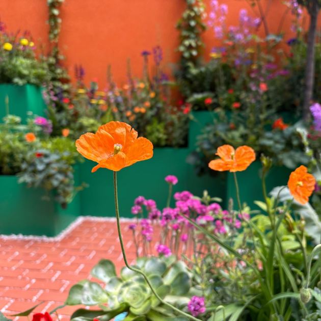  10 Top Garden Trends at the World-Famous Chelsea Flower Show That’ll Look Fabulous in Your Backyard, Too 