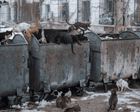‘Prisoners killed each other’s kittens. So now they’re forbidden inside’: Vladimir Karamazov’s best photograph