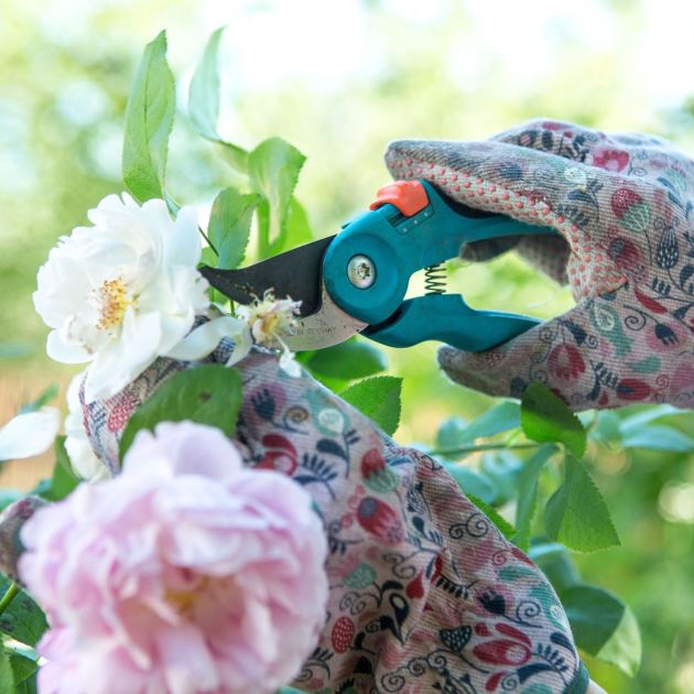  My Husband Is a Professional Gardener – And He Says I Need to Stop Being So Timid When Deadheading 