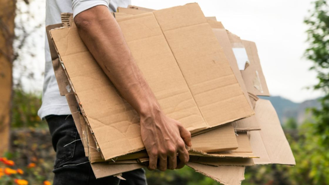  7 Household Trash Items You Should Save in Fall to Protect Plants From Frost 