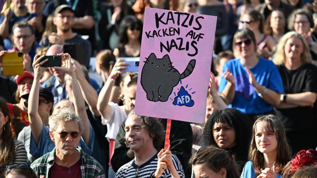 Tens of thousands protest against far-right AfD party in Germany
