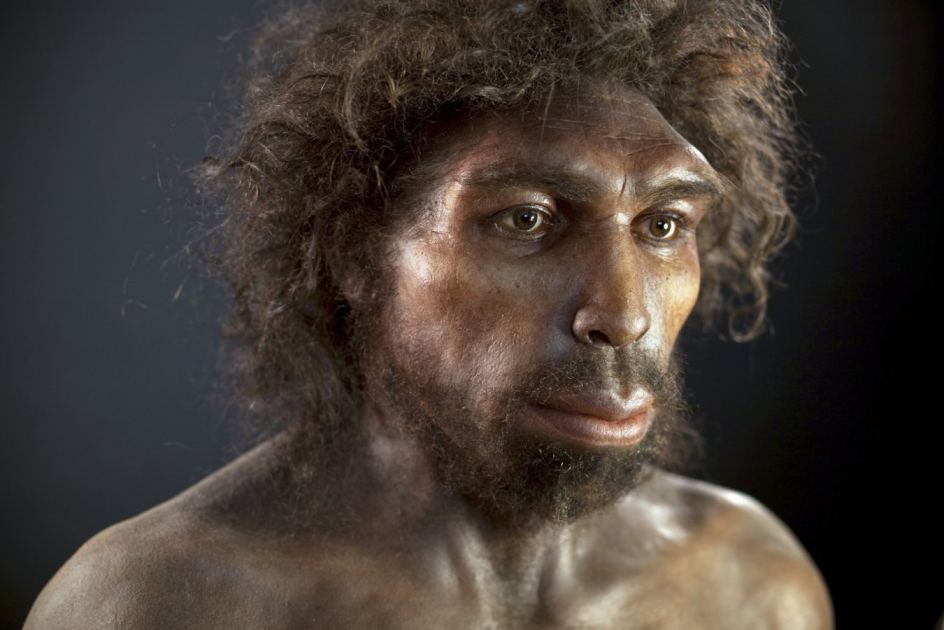The genome of a long-extinct ancient human is hiding within us