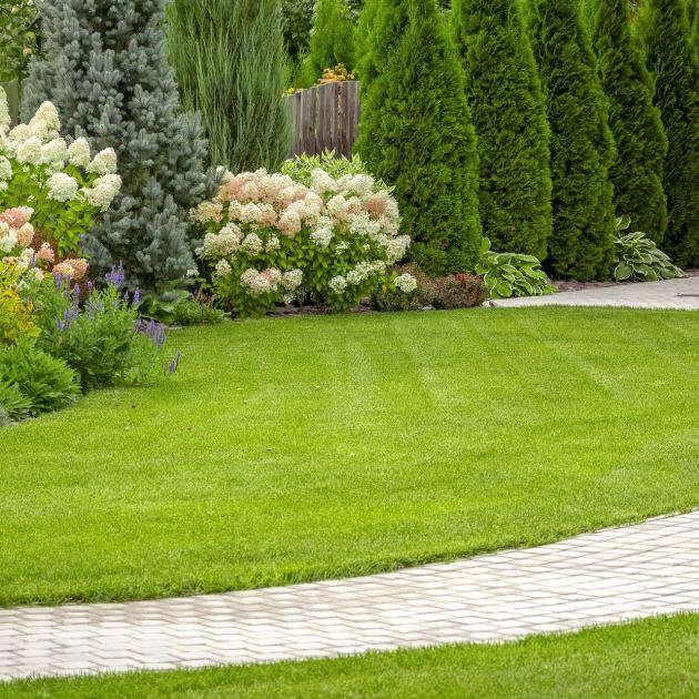  Step-by-Step to a Lush Summer Lawn – 5 Simple Tasks to Do in May for Thicker Grass and No Bare Patches 