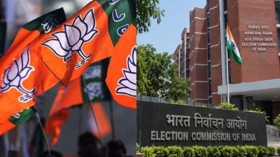 ‘Campaign for remuneration common’: BJP poll expense data names social media influencers