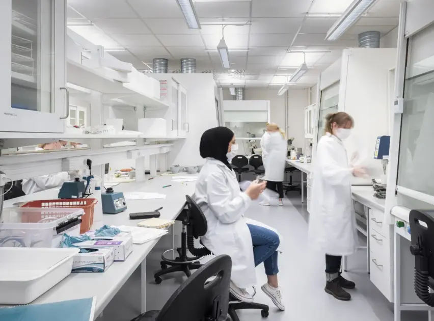 
            Tell us: What are the best and worst things about working in higher education in Sweden?
        