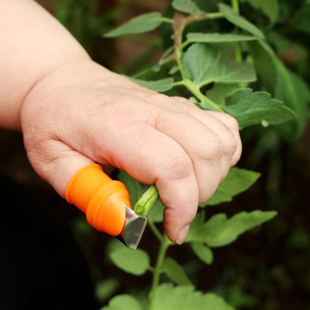  This Handy Thumb Knife Is Perfect for Pruning Tomato Suckers & Deadheading Faded Blooms – and It Only Costs $10! 