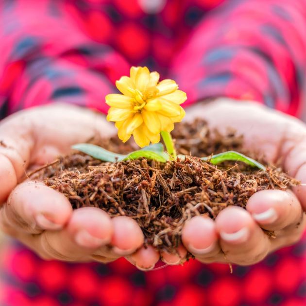  Turbocharge Your Soil in June – The Lazy Summer Soil Refresh that Rejuvenates Your Yard with Zero Tilling 