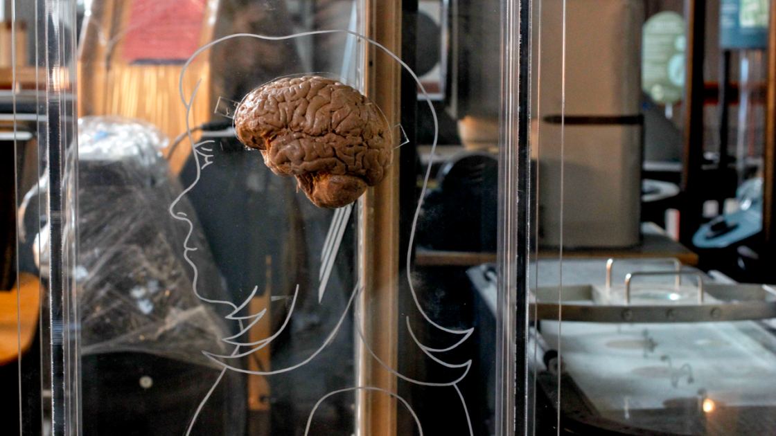 The 'sweet spot' of overconfidence — project a bit to be perceived as competent, but don't be 'too seduced,' a cognitive neuroscientist explains in a Q&A 